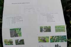 Deutsch-mit-Spass-27.05.