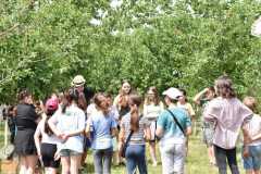 kindertag-arad-04-06-2022