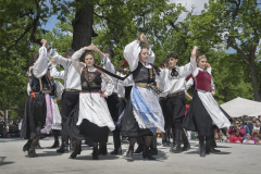 20250510_LM_Z8_DSC_5730-web