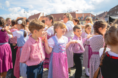 maifest_6d_adj-dfdh-18